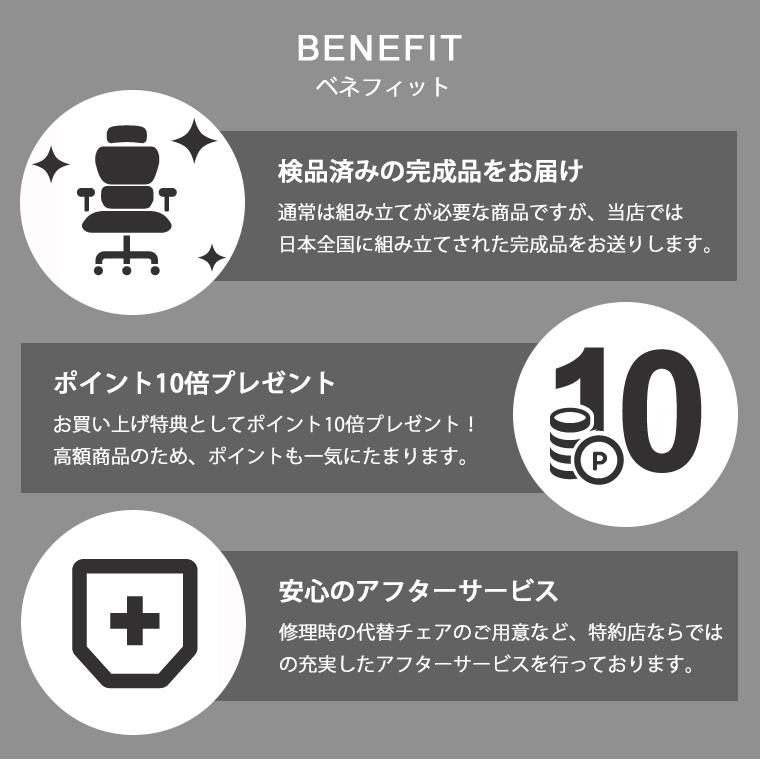 メーカー組立済完成品　エルゴヒューマン プロ2 オットマン内蔵型 ラチェット式 オットマン高さ調節タイプ Ergohuman EHP2-LPL ハイタイプ 家財便・梱包材回収有 | エルゴヒューマン | 27