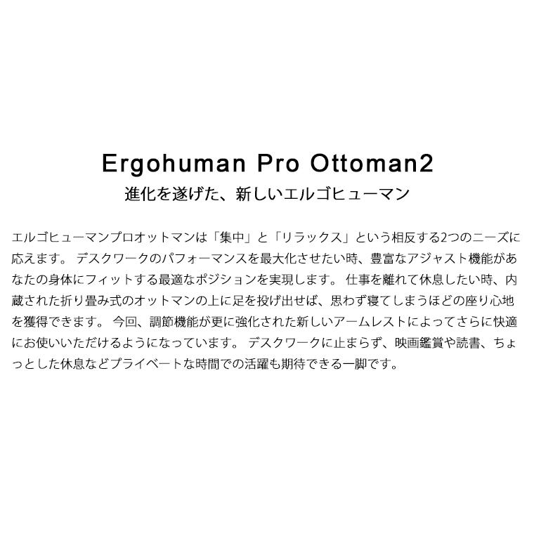 メーカー組立済完成品　エルゴヒューマン プロ2 オットマン内蔵型 ラチェット式 オットマン高さ調節タイプ Ergohuman EHP2-LPL ハイタイプ 家財便・梱包材回収有 | エルゴヒューマン | 16