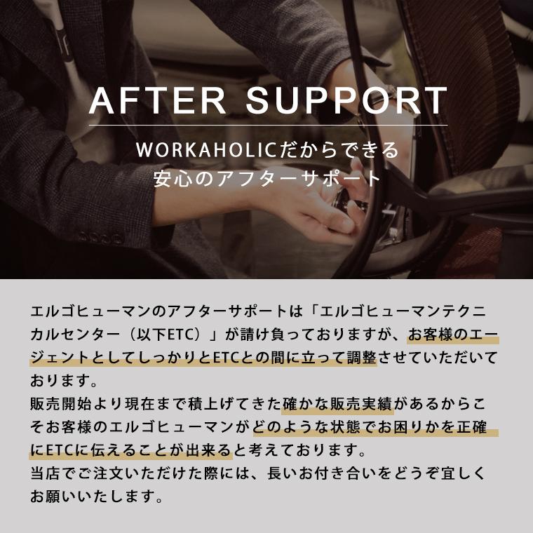 メーカー組立済完成品　エルゴヒューマン プロ2 オットマン内蔵型 ラチェット式 オットマン高さ調節タイプ Ergohuman EHP2-LPL ハイタイプ 家財便・梱包材回収有 | エルゴヒューマン | 14