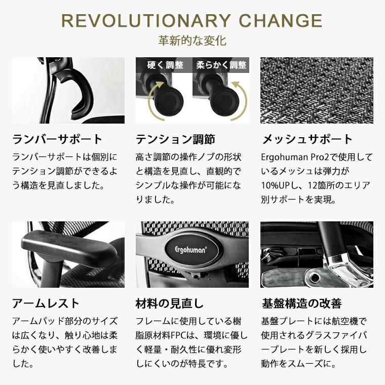 メーカー組立済完成品　エルゴヒューマン プロ2 オットマン内蔵型 ラチェット式 オットマン高さ調節タイプ Ergohuman EHP2-LPL ハイタイプ 家財便・梱包材回収有 | エルゴヒューマン | 18