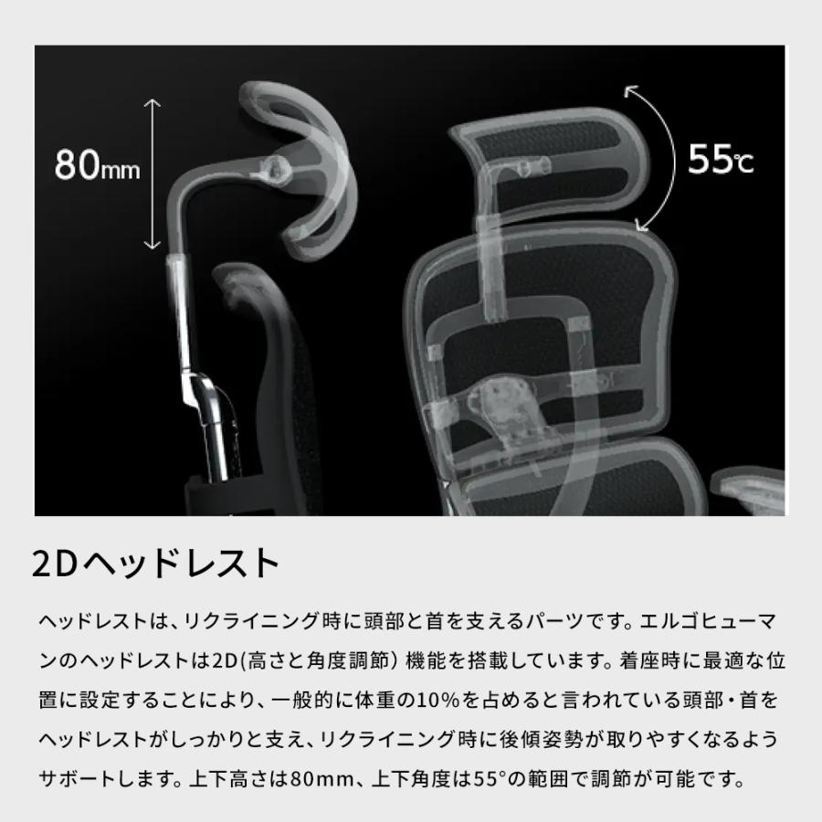 エルゴヒューマン（Ergohuman） 国内300台限定モデル エルゴヒューマン