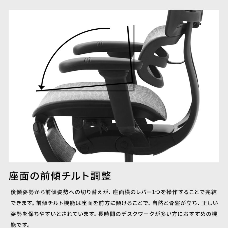 エルゴヒューマン（Ergohuman） 国内300台限定モデル エルゴヒューマン