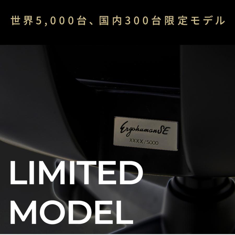 エルゴヒューマン（Ergohuman） 国内300台限定モデル エルゴヒューマン