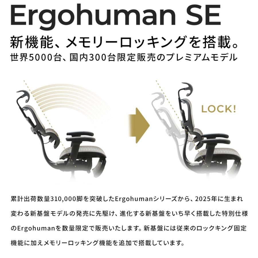 エルゴヒューマン（Ergohuman） 国内300台限定モデル エルゴヒューマン