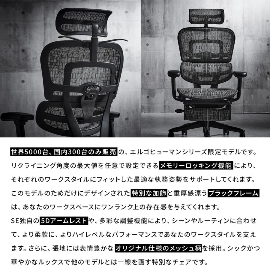 エルゴヒューマン（Ergohuman） 国内300台限定モデル エルゴヒューマン