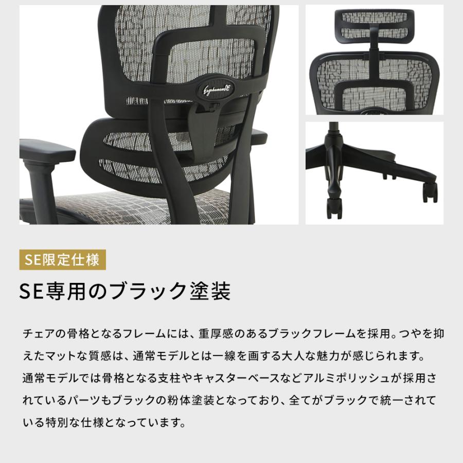 エルゴヒューマン（Ergohuman） 国内300台限定モデル エルゴヒューマン 