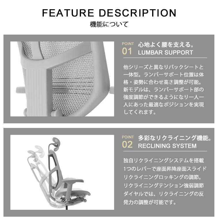 エルゴヒューマン エンジョイ2 ランバーサポート付 ヘッドレスト