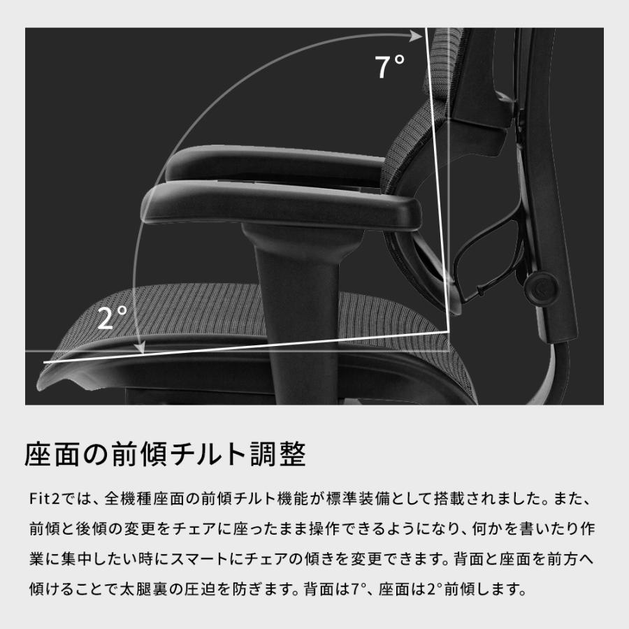 25/5発売新モデル 【お客様組立品・在庫品即納】エルゴヒューマン フィット セレクト （Ergohuman Fit2 Select）アームレスト有 オフィスチェア | エルゴヒューマン | 11