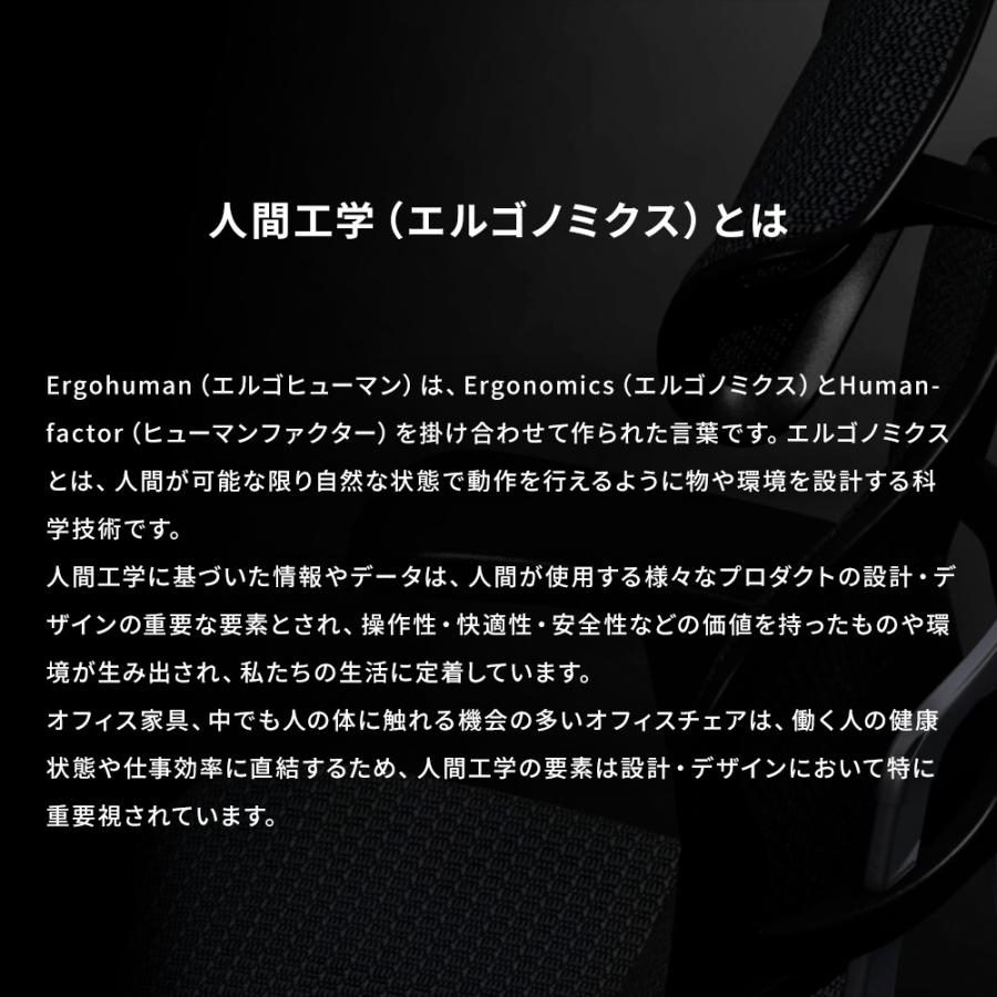 25/5発売新モデル 【お客様組立品・在庫品即納】エルゴヒューマン フィット セレクト （Ergohuman Fit2 Select）アームレスト有 オフィスチェア | エルゴヒューマン | 07
