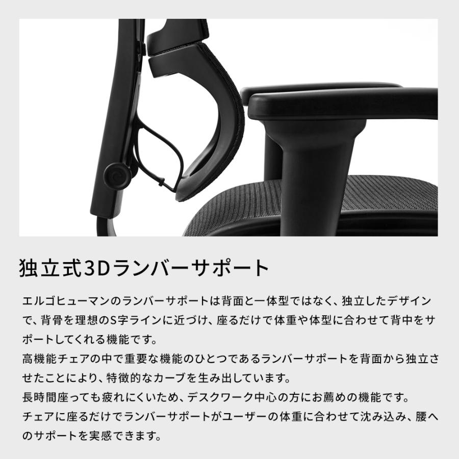 25/5発売新モデル 【お客様組立品・在庫品即納】エルゴヒューマン フィット セレクト （Ergohuman Fit2 Select）アームレスト有 オフィスチェア | エルゴヒューマン | 08