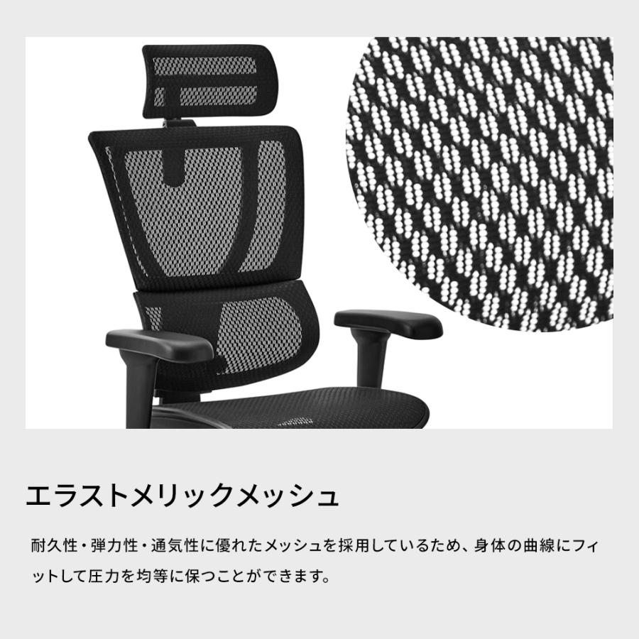 エルゴヒューマン Ergohuman FIT2 Lite フィット2ライト オットマン