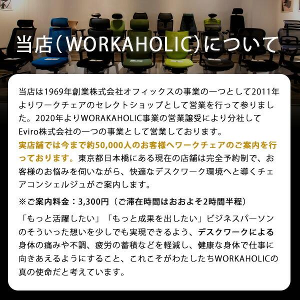 ITOKI イトーキ /ACT（アクト）／エラストマーバック／アルミミラー脚／可動肘／座：SC張地／ランバー有／ハンガー無／ウレタンキャスター_19