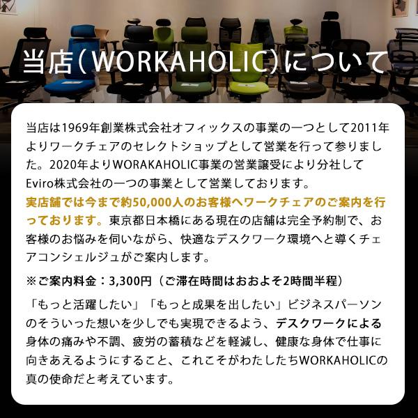 Herman Miller (ハーマンミラー) SAYL CHAIR セイルチェア 海外 Herman Miller (ハーマンミラー) SAYL CHAIR セイルチェア 海外
