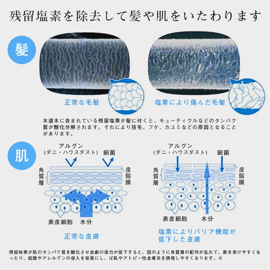 交換用カートリッジ シャワーヘッド用 塩素除去 水質改善 浄水 交換用カートリッジ シャワーヘッド用 塩素除去 水質改善 浄水