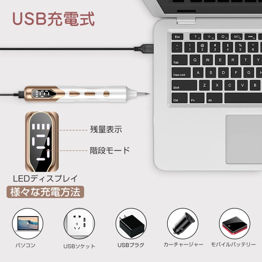 レーザーペン シミ取り イボ シミ ほくろ除去ペン 美顔器 レーザー除去