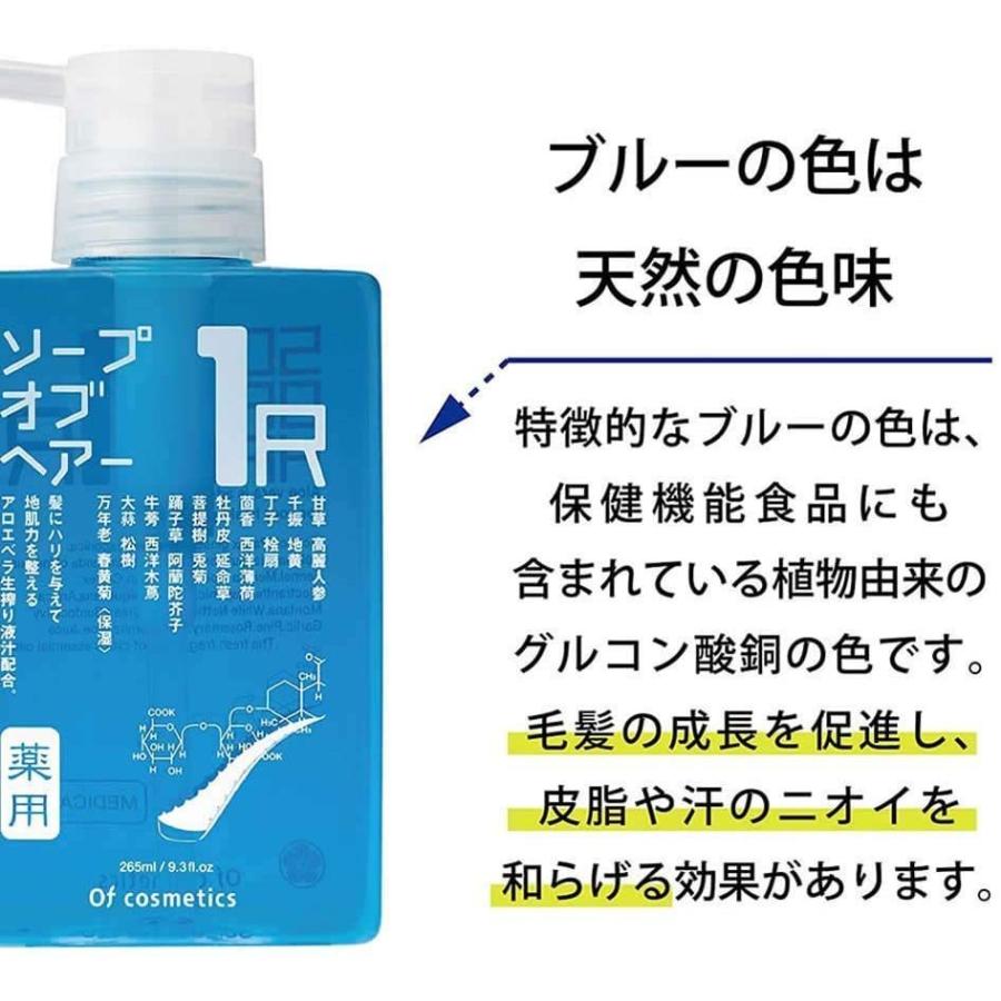 薬用ソープオブヘア・1-R 265ml シトラスフレッシュの香り オブ・コスメティックス シャンプー 頭皮ケア｜ofcosmeticsshop｜03