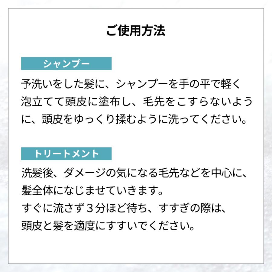ソープオブヘア・1 625ml バーチ 白樺の香り オブ・コスメティックス シャンプー ビッグボトル ヘマチン ケラチン_6