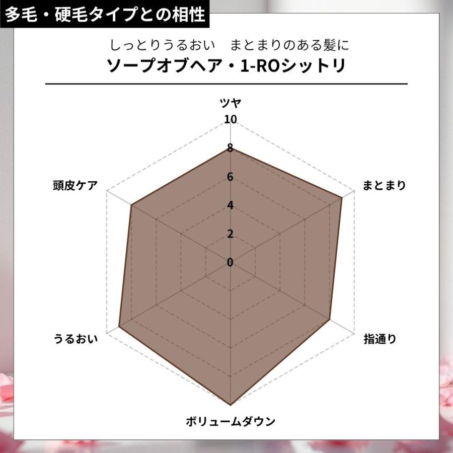 ソープオブヘア・1-ROシットリ 1000ml トリートメントオブヘア・2-ROシットリ 1000g シャンプー・トリートメントセット オブ・コスメティックス エコサイズの画像
