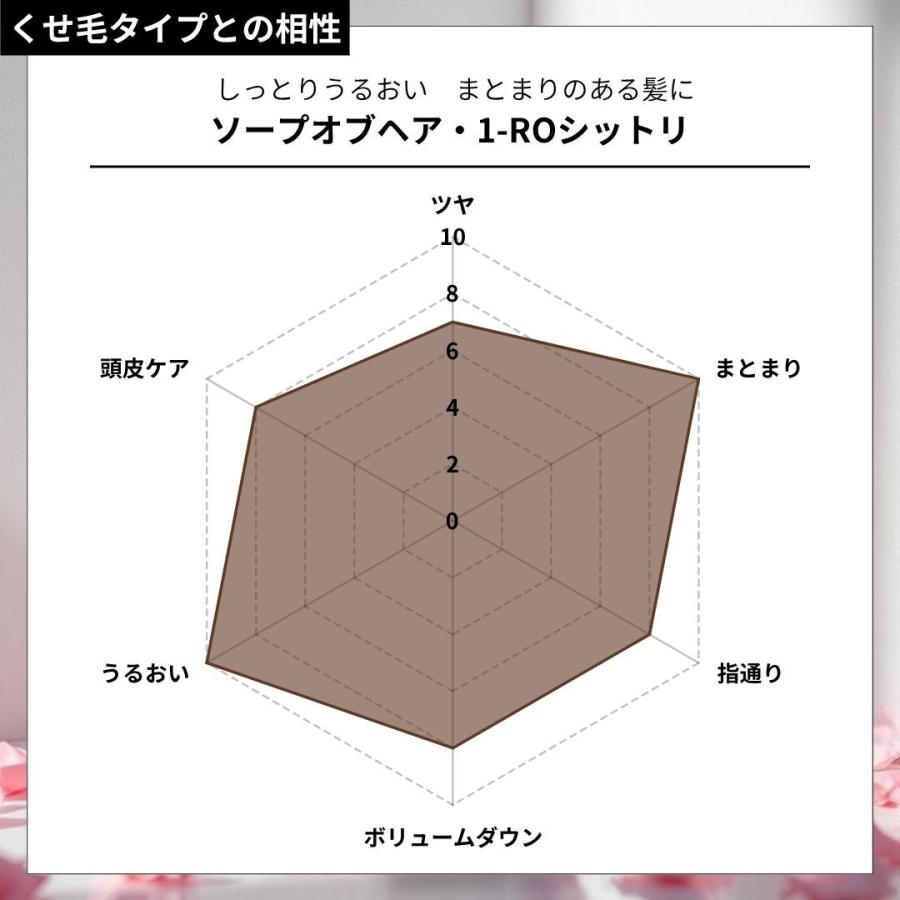 ソープオブヘア・1-ROシットリ 1000ml トリートメントオブヘア・2-ROシットリ 1000g シャンプー・トリートメントセット オブ・コスメティックス エコサイズの画像