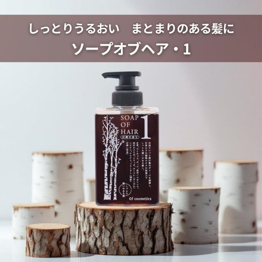ソープオブヘア・1 265ml トリートメントオブヘア・2 210g