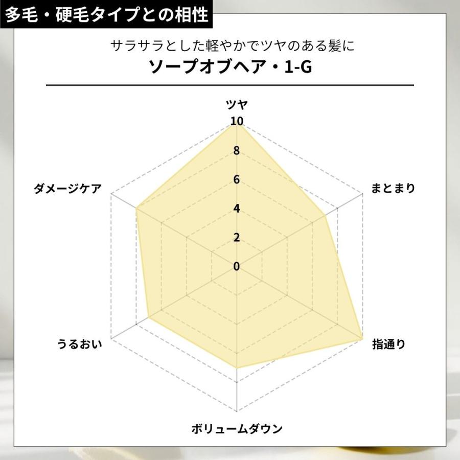 ソープオブヘア・1-G 1000ml トリートメントオブヘア・2-G 1000g シャンプー・トリートメントセット オブ・コスメティックス エコサイズの画像