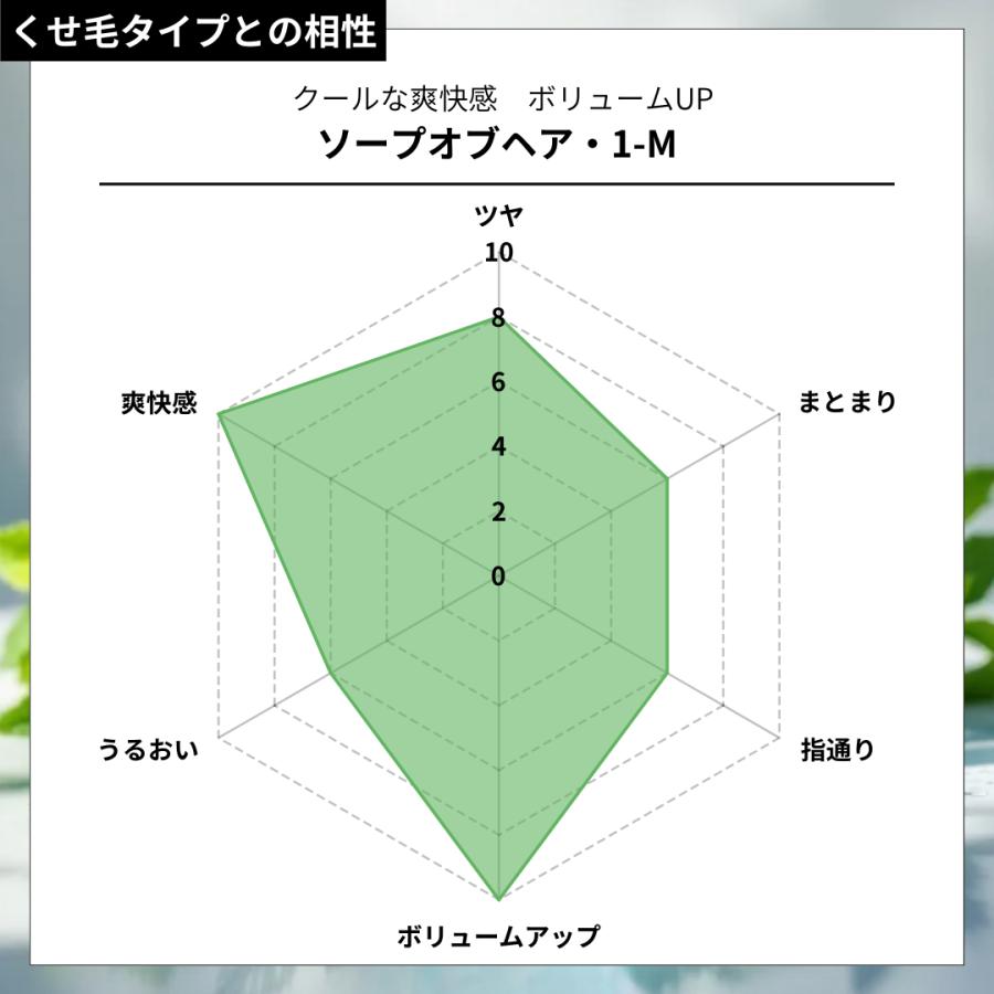 ソープオブヘア・1-M 1000ml トリートメントオブヘア・2-EC 1000g シャンプー・トリートメントセット オブ・コスメティックス エコサイズ メントールの画像
