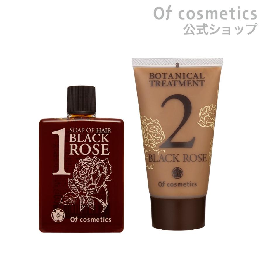 ソープオブヘア・1-RO &トリートメントオブヘア2-ROセット ソープオブヘア・1-ROシットリ 60ml トリートメントオブヘア・2