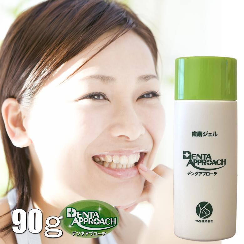 デンタアプローチ・ファミリーサイズ 90g denta approach 歯磨きジェル