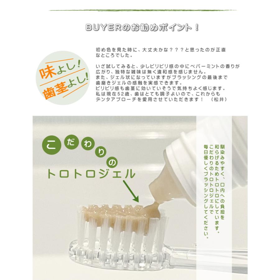 歯磨きジェル デンタアプローチ・ファミリーサイズ 90g 送料無料 3本 