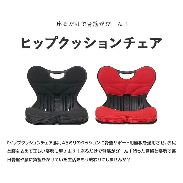 ヒップクッションチェア 骨盤サポート椅子 Hip Cushion Chair お尻が