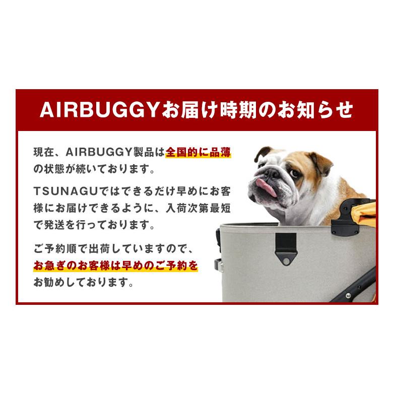 AIRBUGGY FITT エアバギーフィット フラットアンドゴー 犬 猫 移動用