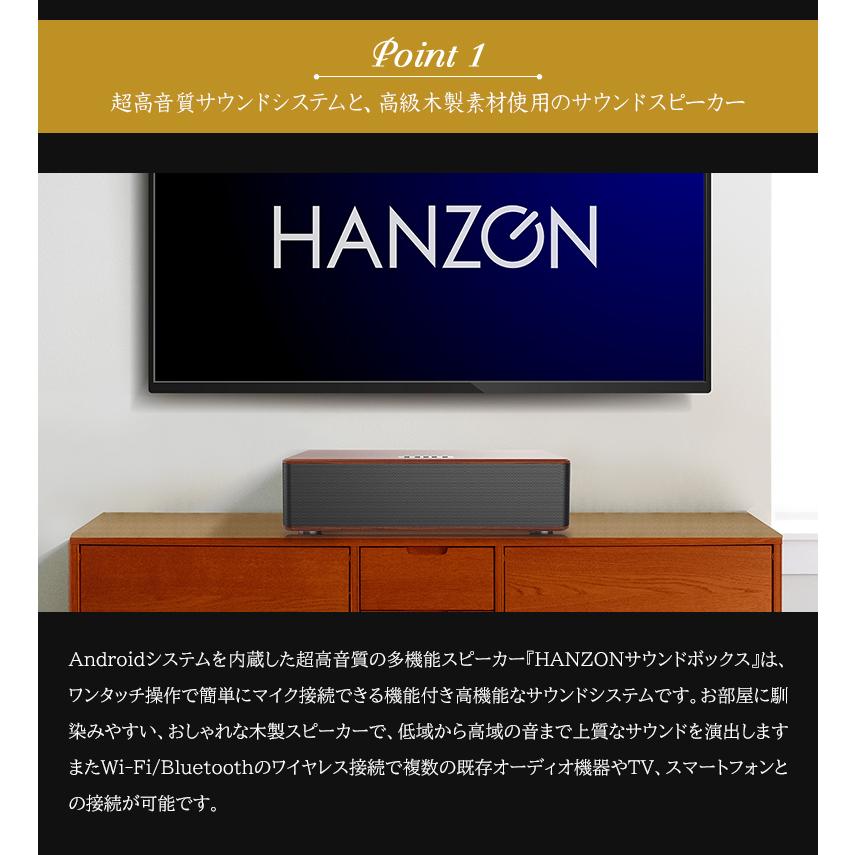 HANZONサウンドボックス カラオケセット 家庭用 マイク HANZONサウンドボックス カラオケセット 家庭用 マイク