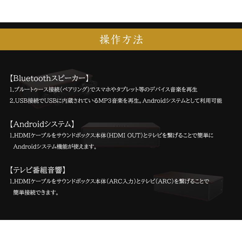 HANZONサウンドボックス カラオケセット 家庭用 マイク HANZONサウンドボックス カラオケセット 家庭用 マイク