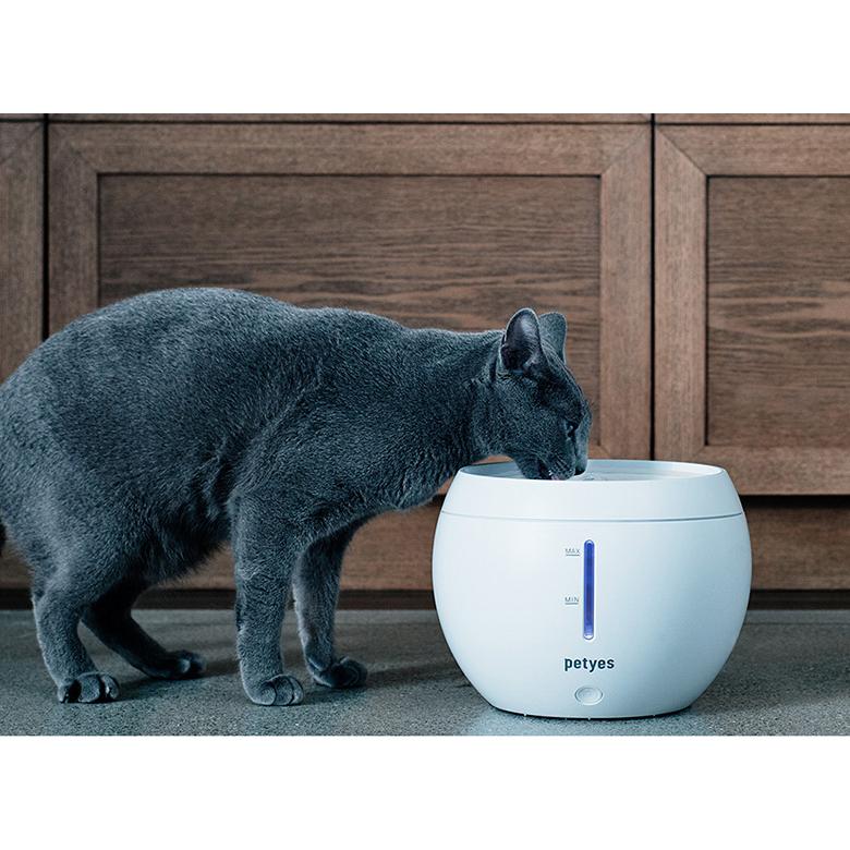 petyes AQUA 給水器 ペティエス アクア 浄水機能付き 犬 猫 自動給水器 