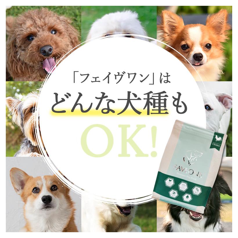 フェイヴワン 全犬種用ドッグフード(チキン) ミシュワン フェイヴワン 全犬種用ドッグフード(チキン) ミシュワン