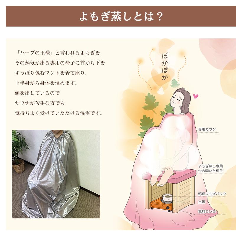 日本製 よもぎパック 40個 (20個×2セット)  yomogina  よもぎ蒸し用 ヨモギーナ ハーブ蒸し よもぎ ヨモギ 蓬蒸しの画像