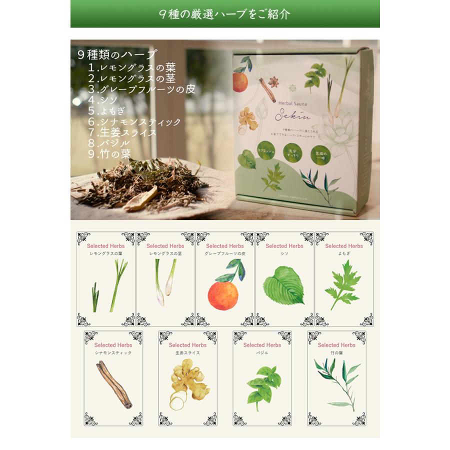 SEKIU テントサウナ 3点セット スチームサウナ【サウナテント