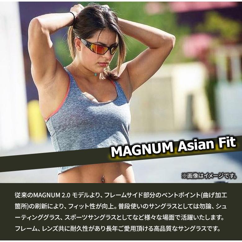 GATORZ MAGNUM Asian Fit ブラックアウト×インフェルノ調光レンズ 色