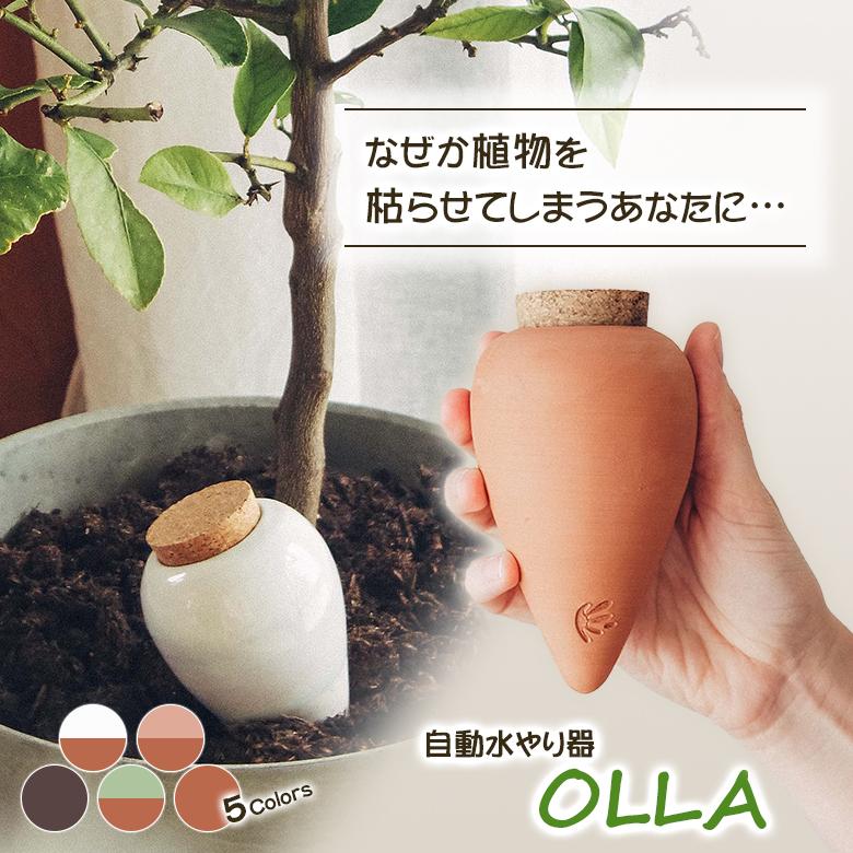 olla オラ 自動水やり器 潅水 灌漑 テラコッタ 水やり 自動 鉢植え