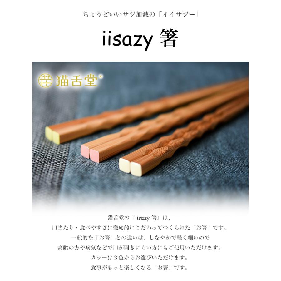 イイサジー iisazy お箸 22cm ユニバーサルデザイン 箸 おはし
