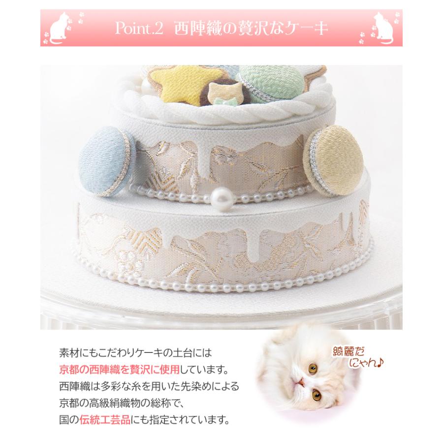 ペットパーティー バースデーケーキ Pet Party フェイクケーキ