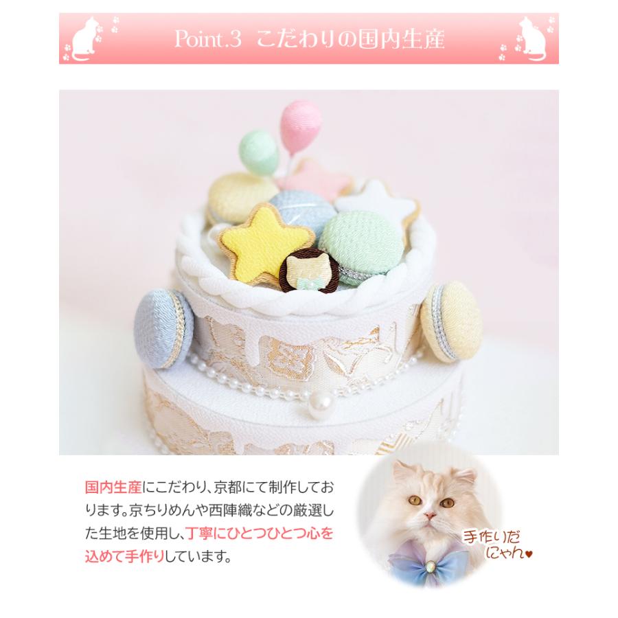 ペットパーティー バースデーケーキ Pet Party フェイクケーキ