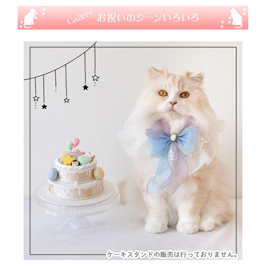 ペットパーティー バースデーケーキ Pet Party フェイクケーキ