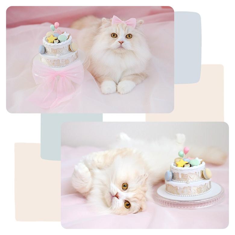ペットパーティー バースデーケーキ Pet Party フェイクケーキ