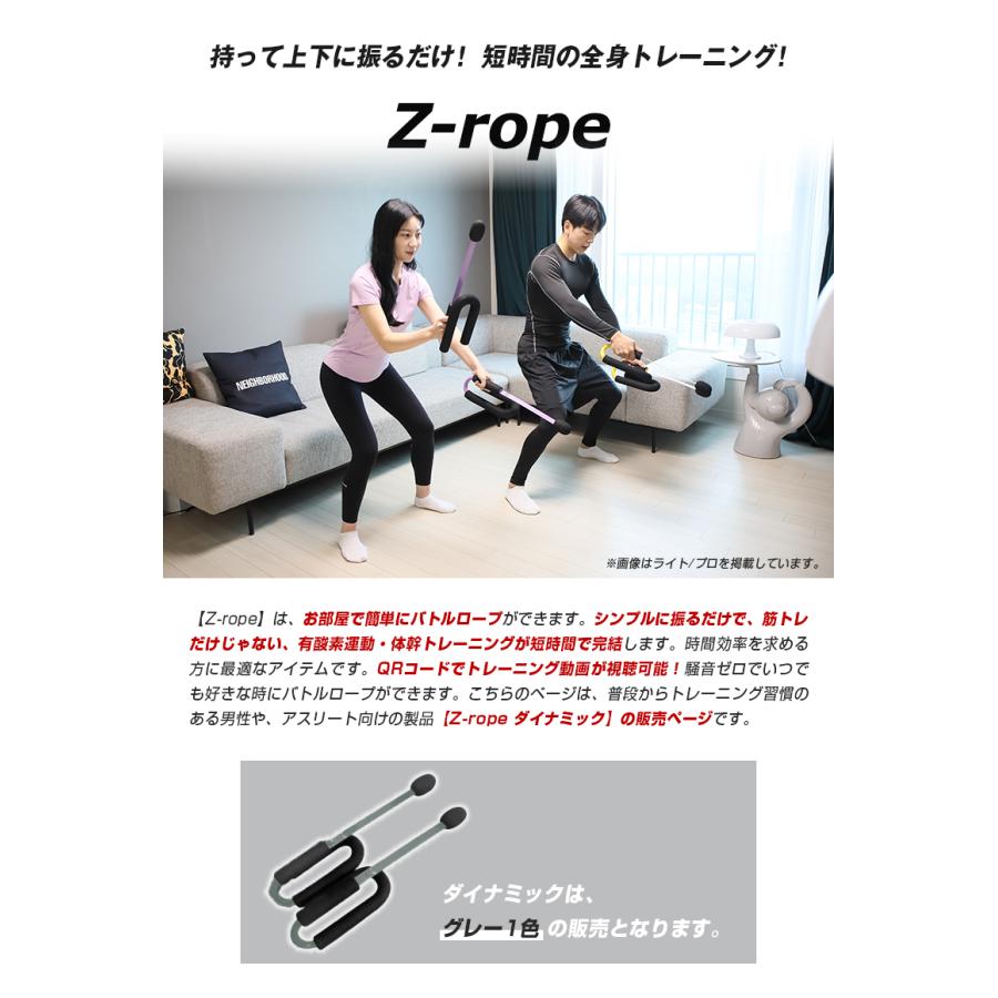 Z-rope バトルロープ 筋トレ 宅トレ クロスフィット 有酸素運動 体幹