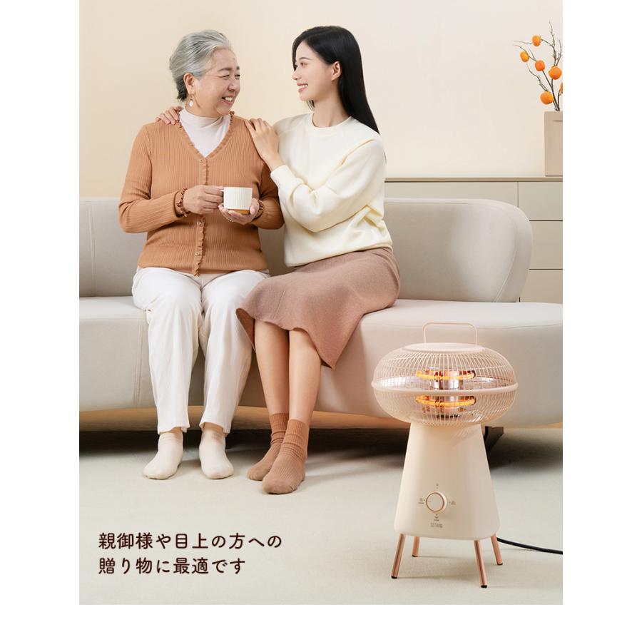 園幾 SOTHING 小太陽暖房機 ソーシング 1000W 遠赤外線ヒーター