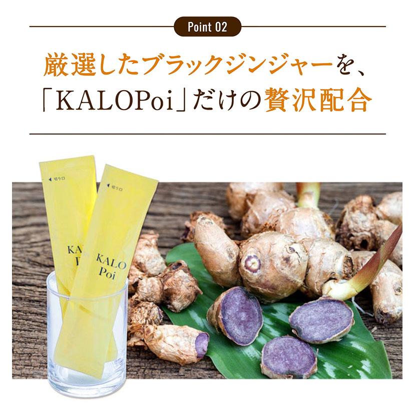 20本サービス KALOPoi 180本+20本 カロポイ ゼリー サプリ 糖質カット サプリ 血糖値  健康食品  食事 置き換え ワークアウト ローカーボ ローファットの画像