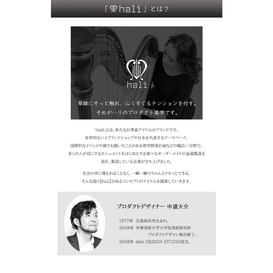 kaki A3 【ピンクローズ】 枠にとらわれない自由な発想であなただけのアートに。花のうつろい、毎日表情を変える世界に一つだけの絵画