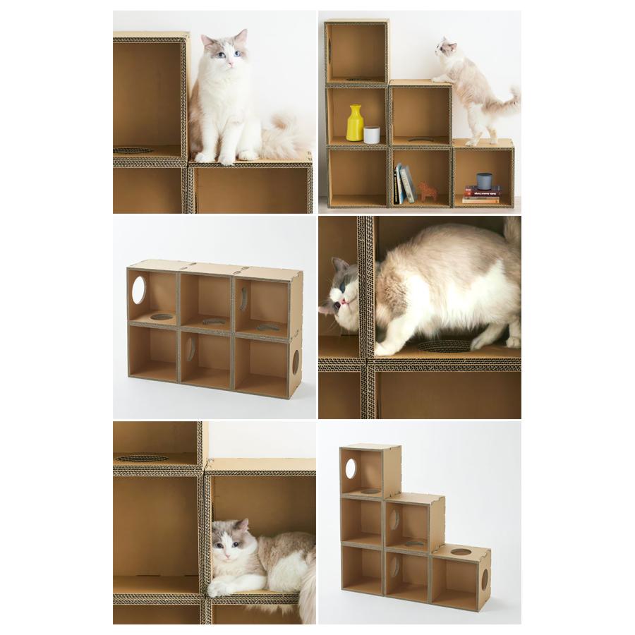 キャットボックス キャットタワー Cat Box 6個セット 猫 ネコ キャットボックス キャットタワー Cat Box 6個セット 猫 ネコ