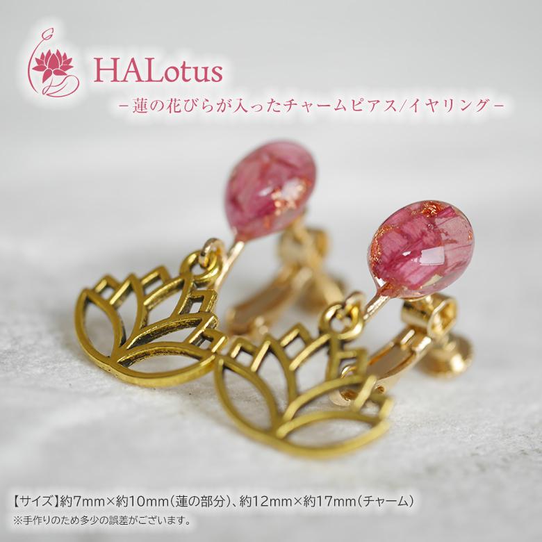 本物の蓮の花 25蓮のチャームピアス 蓮チャームイヤリング 大人可愛い